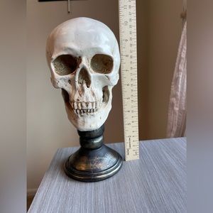 Halloween decorations skull stand